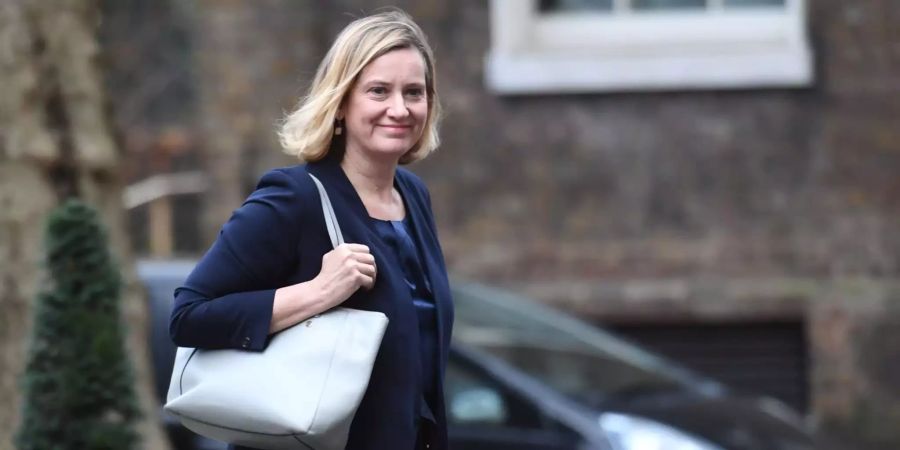 Amber Rudd, Arbeitsministerin Brexit