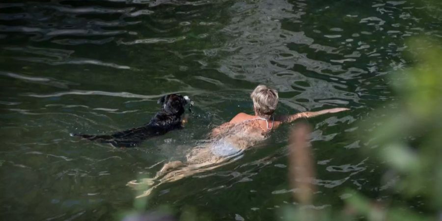 Eine Frau schwimmt mit ihrem Hund im See. (Symbolbild)