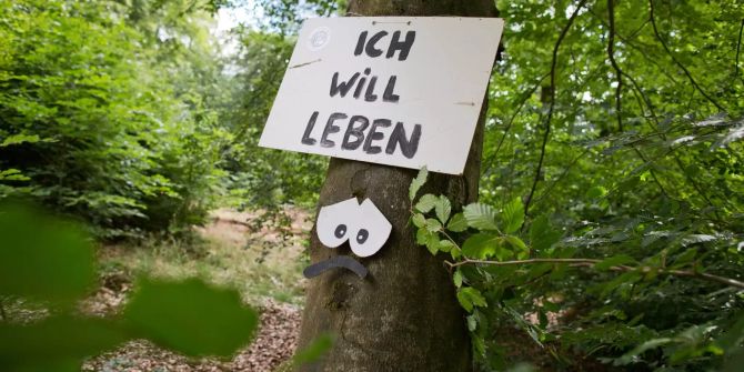 «Ich will leben» steht auf einem Baum, der für die Erweiterung des Flughafens Frankfurt fallen soll.