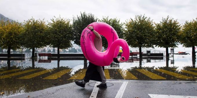 Ein Kellner trägt einen aufblasbaren Flamingo an der überfluteten Seepromenade am Lago Maggiore. Ein Kellner trägt einen aufblasbaren Flamingo an der überfluteten Seepromenade am Lago Maggiore.