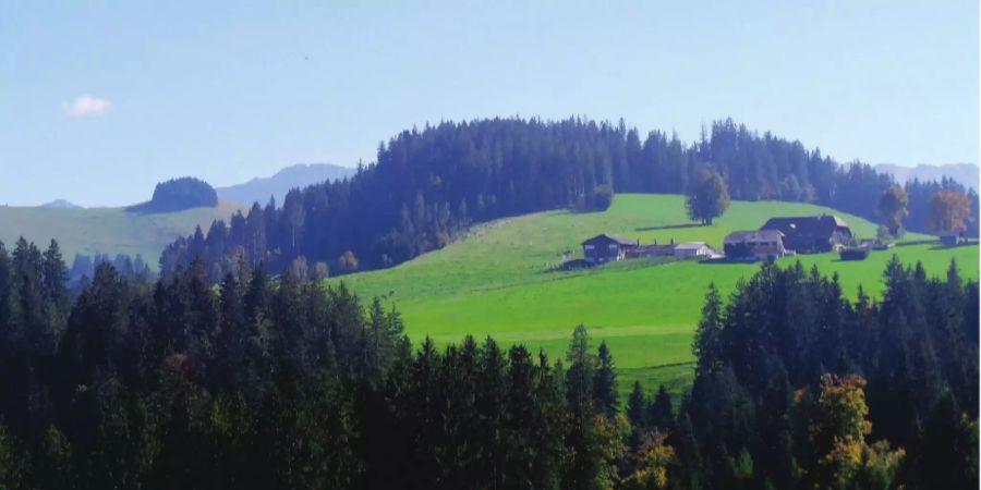 Aussicht auf Blapbach 1200 Meter über Meer Claudia