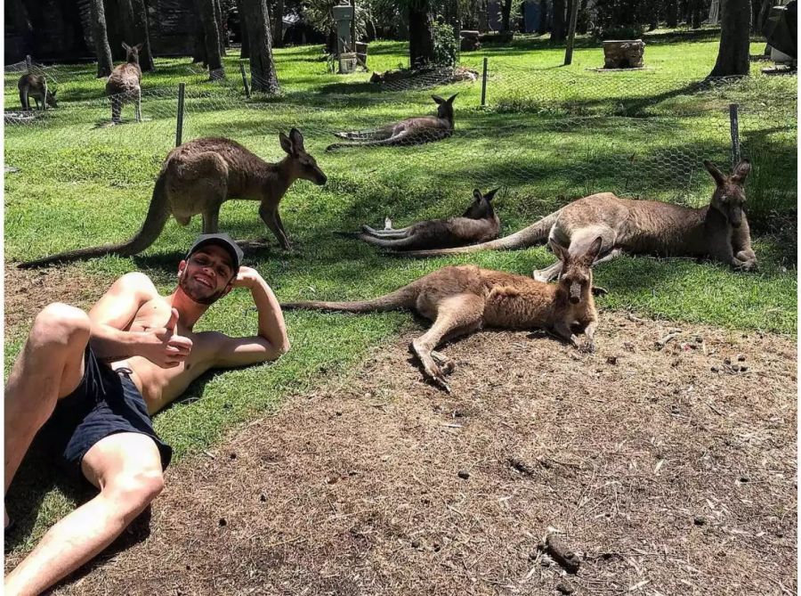 Rumhänge im Zoo und Sightseeing : Hänni geniesst den australischen Sommer in vollen Zügen.