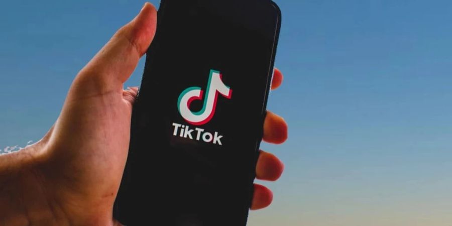 Dank eines TikTok-Videos wurden bei der Geburt getrennte Zwillinge wiedervereint.