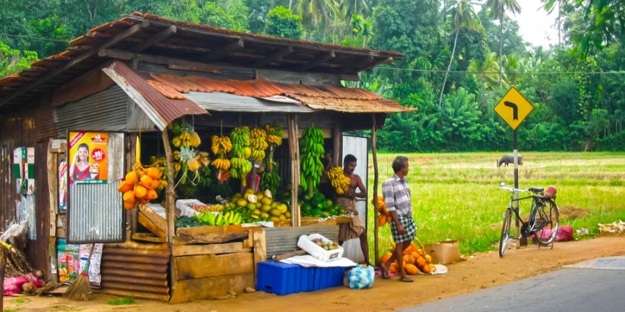 Strassenecke Obststand Sri Lanka Palmen