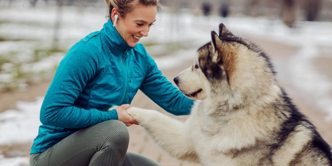 Hund, Pfote, Winter, Kälte