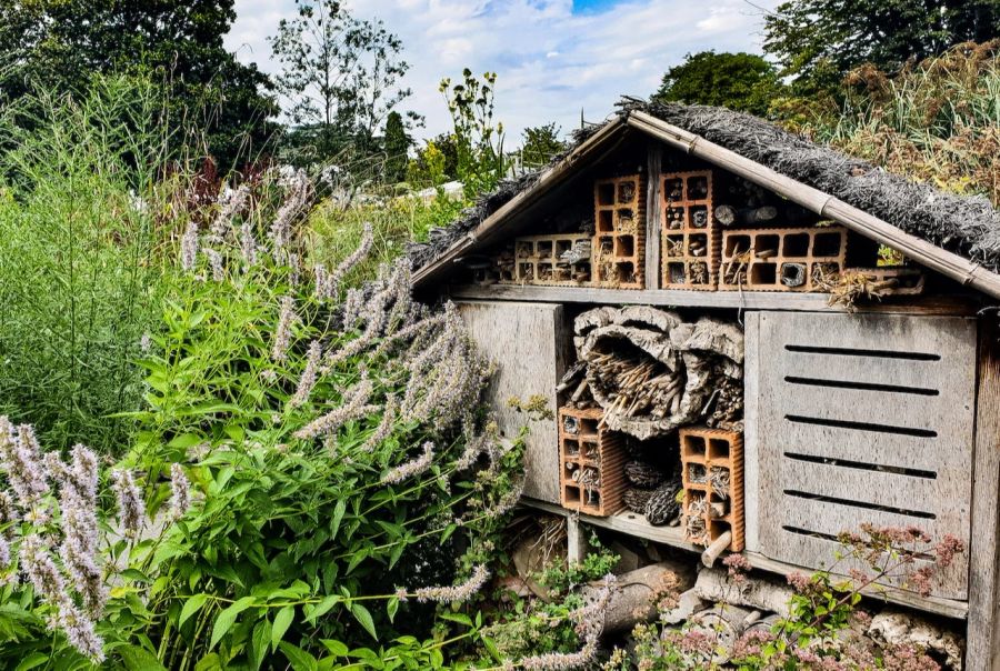 Insektenhotel Garten Holz Steine