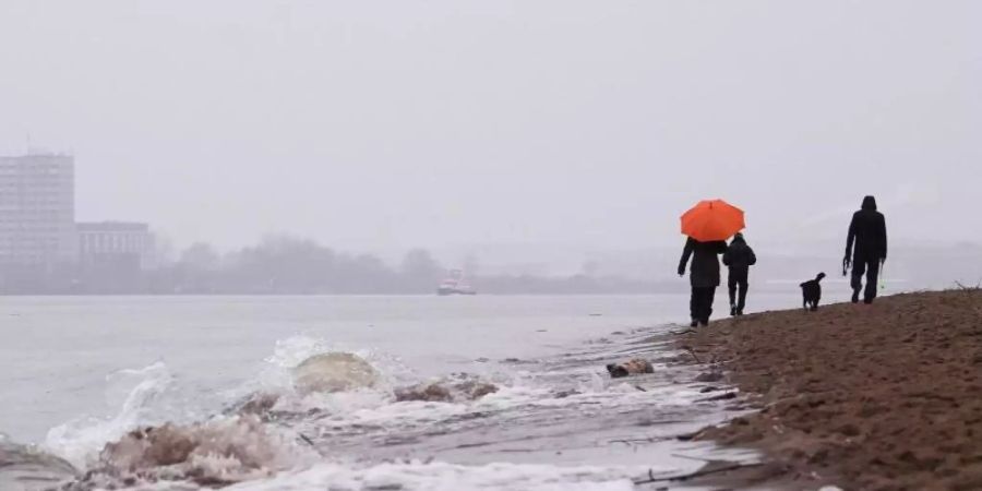 Nieselregen statt weisser Pracht: Spaziergänger mit Regenschirm und Hund sind am Elbstrand in Hamburg unterwegs. Foto: Christian Charisius/dpa
