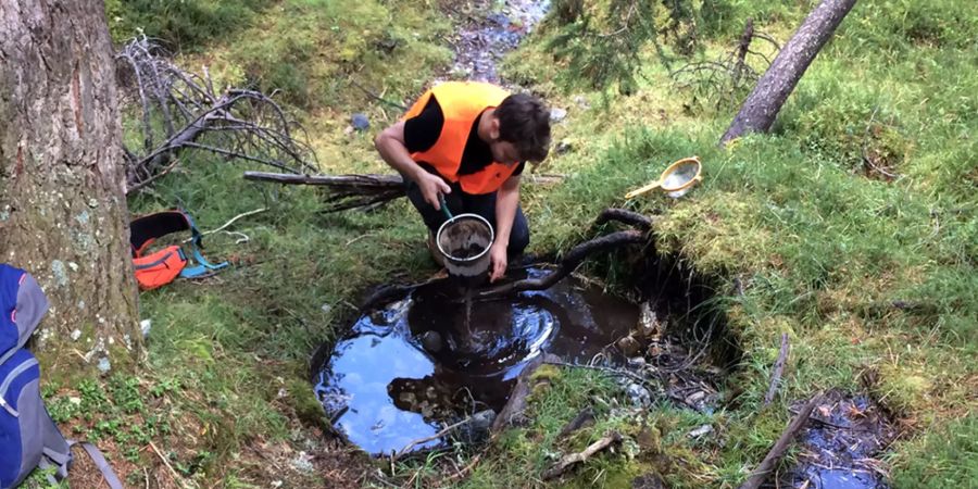 Das Wasserschloss trocknet aus: Ein Doktorand sammelt Proben an einer Quelle im Val Mingèr im Schweizer Nationalpark.