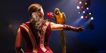Zirkus Knie
