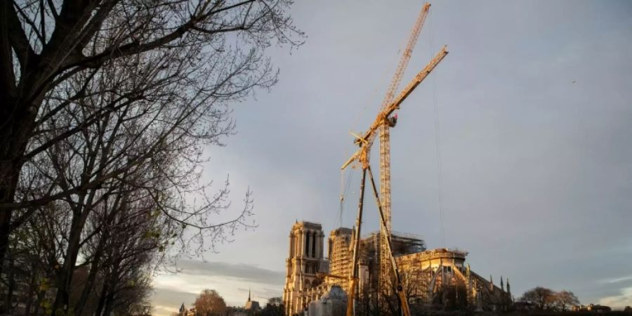 Kräne vor Notre-Dame am Donnerstag