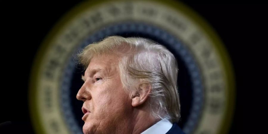 Präsident Trump