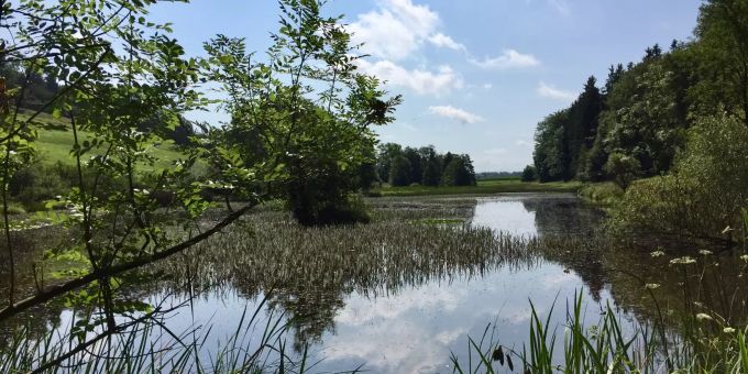 Eigental Eigental