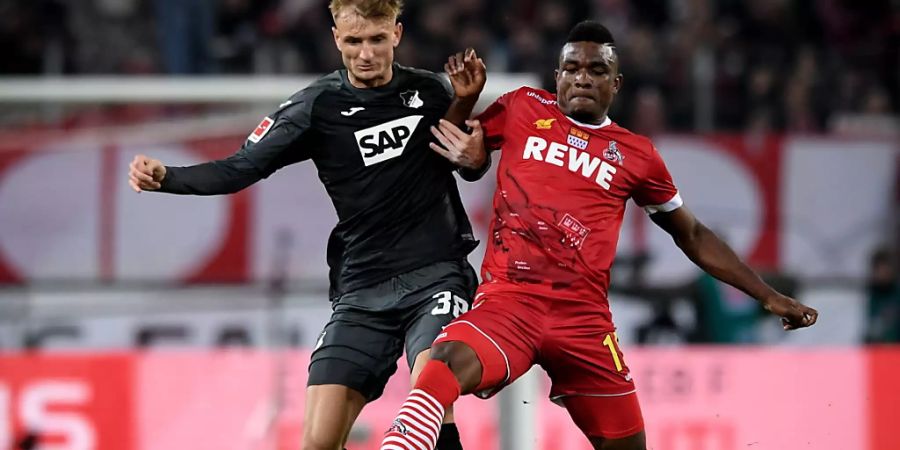 Hoffenheims Stefan Posch (links) gegen Jhon Cordoba vom FC Köln