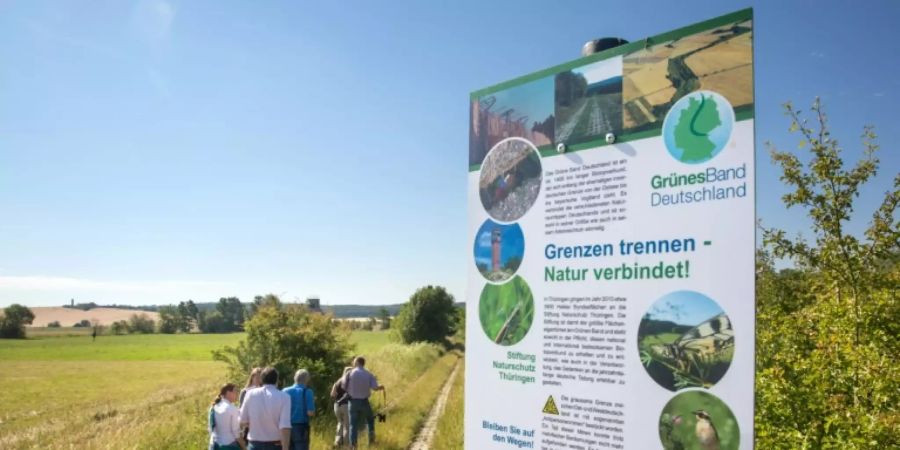 Teilabschnitt des Grünen Bandes in Thüringen
