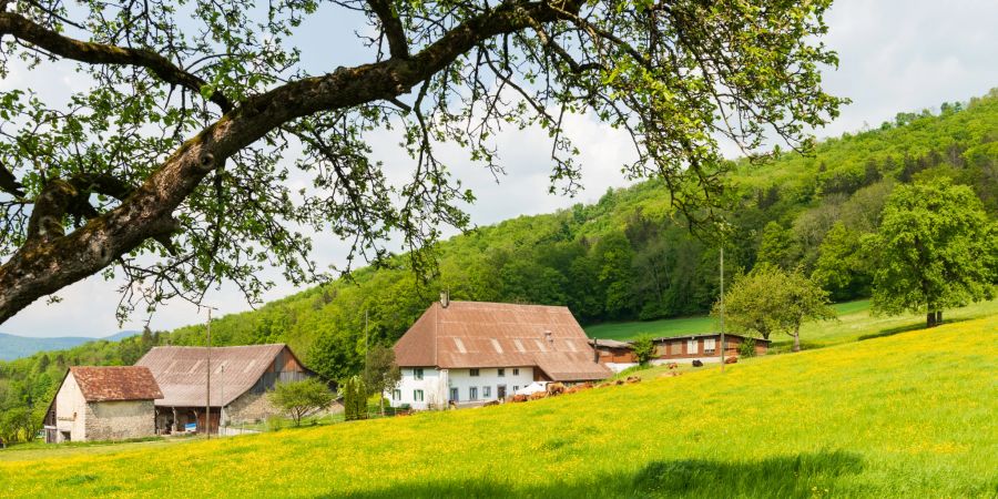 Der untere Wartburghof in Starrkirch-Wil.