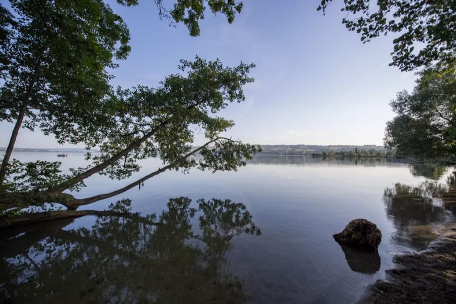 sempachersee
