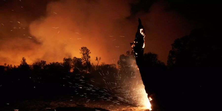 Das «Zogg Fire»