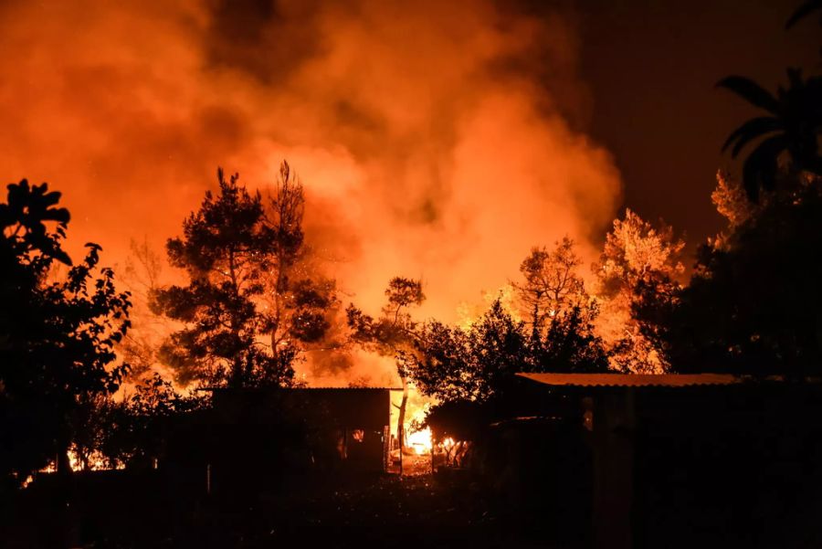 Ein Waldbrand auf der griechischen Insel Euböa.