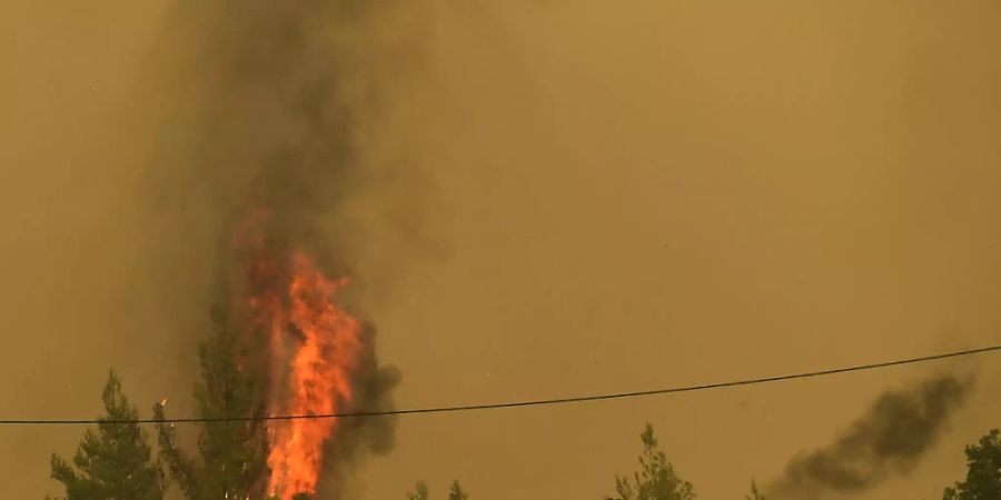 Menschen beobachten die Flammen, die Bäume während eines Waldbrandes im Dorf Avgaria auf der Insel Euböa verbrennen. Der Kampf gegen die Brände im Mittelmeerraum halten weiter an. Besonders dramatisch ist die Lage auf der griechischen Insel Euböa, dort brannte es die achte Nacht in Folge. Foto: Michael Varaklas/AP/dpa