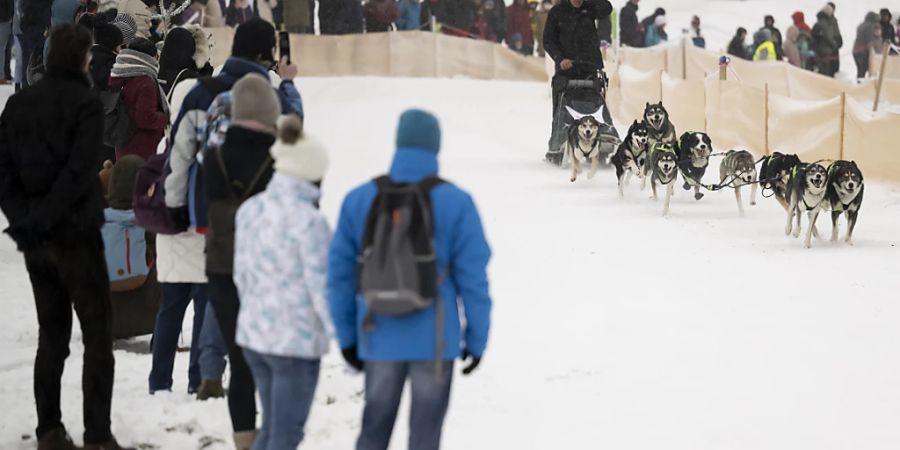 Die Schneebedingungen ermöglichten einen reibungslosen Ablauf der Wettkämpfe am Samstag und Sonntag in Saignelégier JU, doch ein dritter Tag wäre aufgrund des aufgeweichten Schnees nicht möglich gewesen.