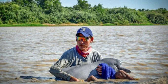 Einr der Retter mit einem Amazonasdelfin Einr der Retter mit einem Amazonasdelfin