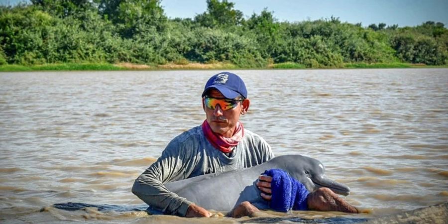 Einr der Retter mit einem  Amazonasdelfin