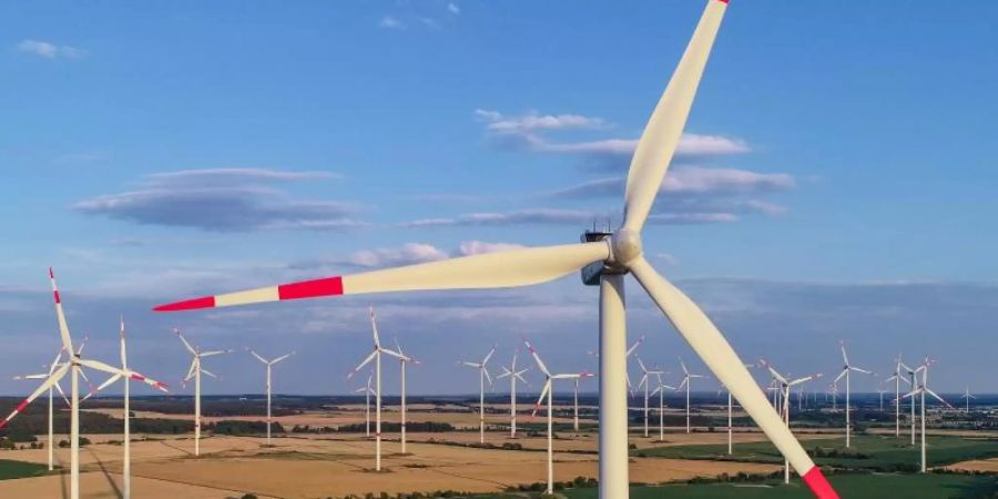 Der Ausbau der Windenergie an Land in Deutschland ist fast zum Erliegen gekommen. Foto: Patrick Pleul