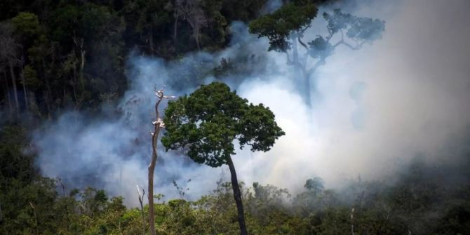 Brasilien Waldbrand