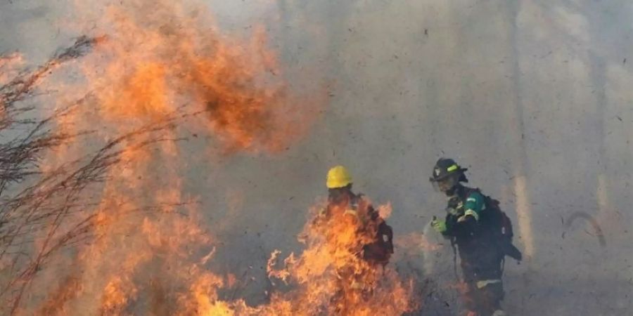 Feuer in Bolivien