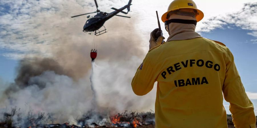 Seit Tagen versuchen zahlreiche Einsatzkräfte das Feuer im Amazonas unter Kontrolle zu bringen.