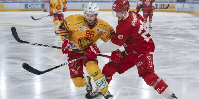 Kölner Haie