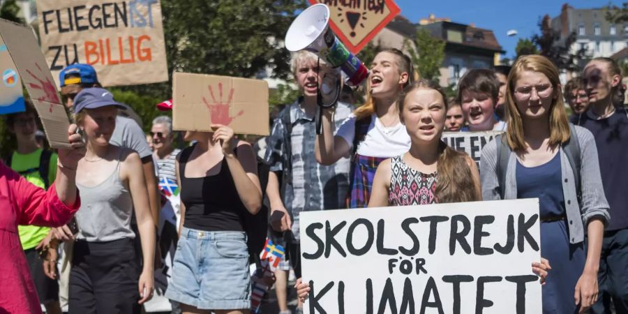 Klimastreik Fridays for Smile