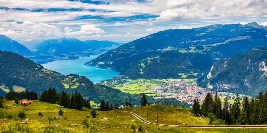 Schynige Platte auf Thunersee