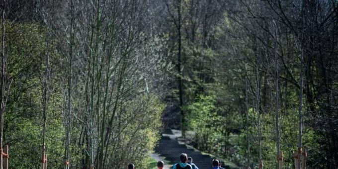 Eine Gruppe Jugendlicher beim Joggen in einem Wald. Foto: Fabian Strauch/dpa Eine Gruppe Jugendlicher beim Joggen in einem Wald. Foto: Fabian Strauch/dpa