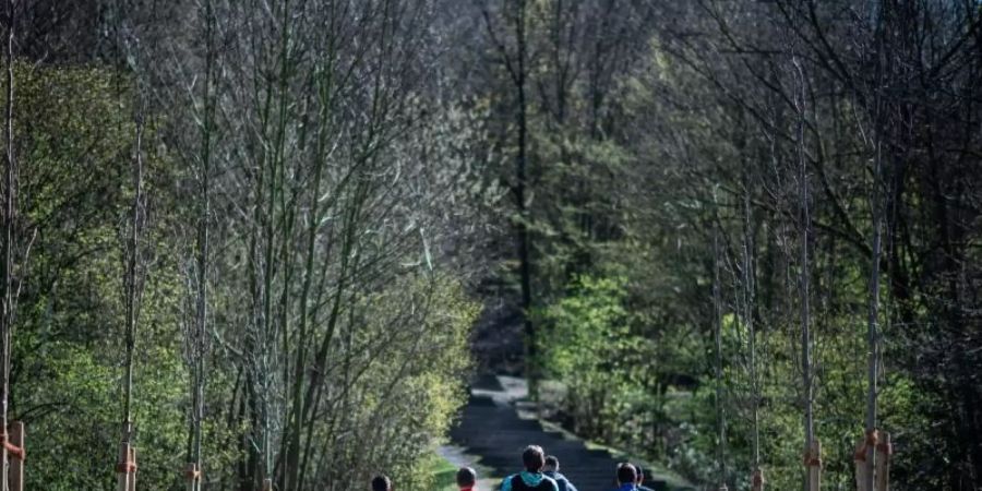 Eine Gruppe Jugendlicher beim Joggen in einem Wald. Foto: Fabian Strauch/dpa
