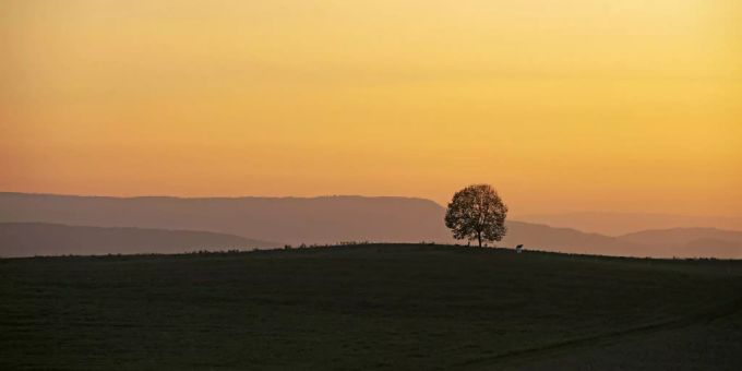 Der Blick in den Abendhimmel von Truttikon ZH. (Archivbild) Truttikon ZH