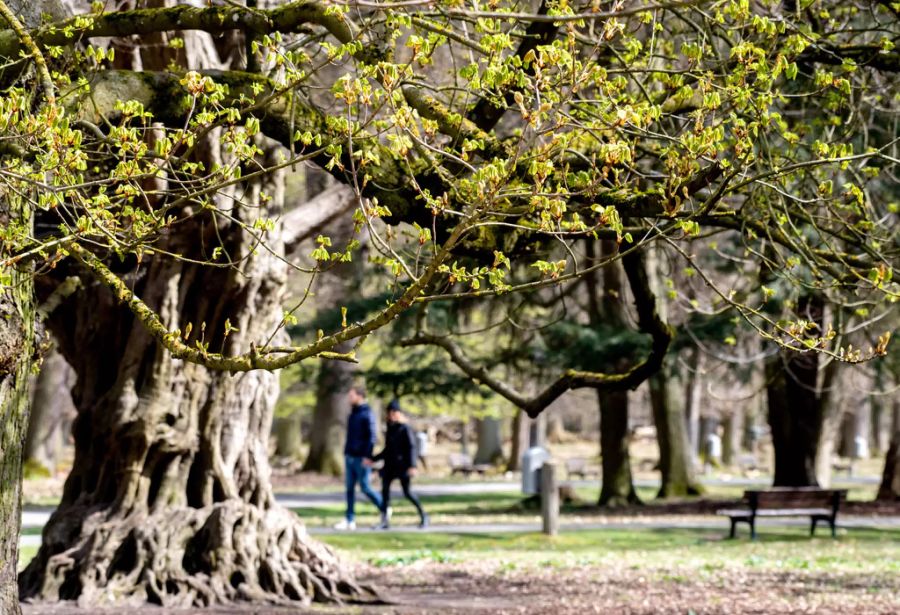 frühling