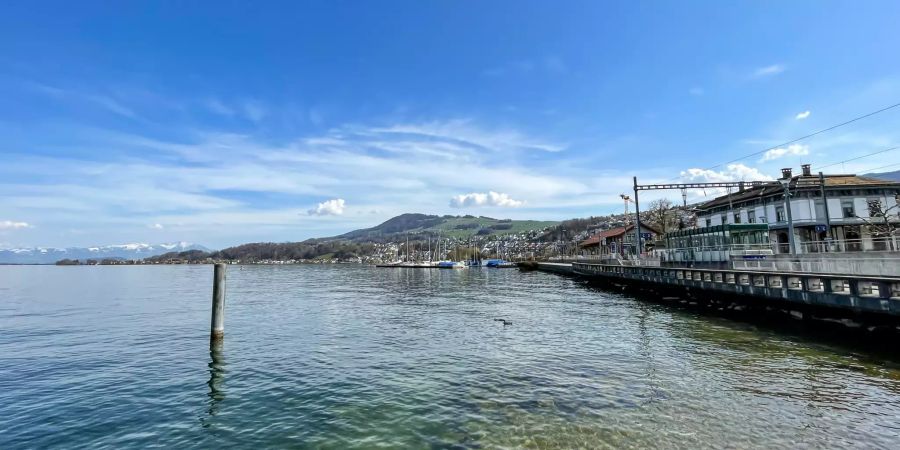 Der Zürichsee bei Richterswil.