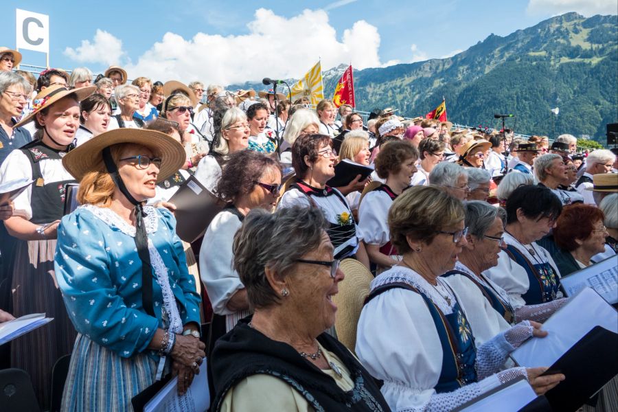 Schweizerische Trachtenvereinigung