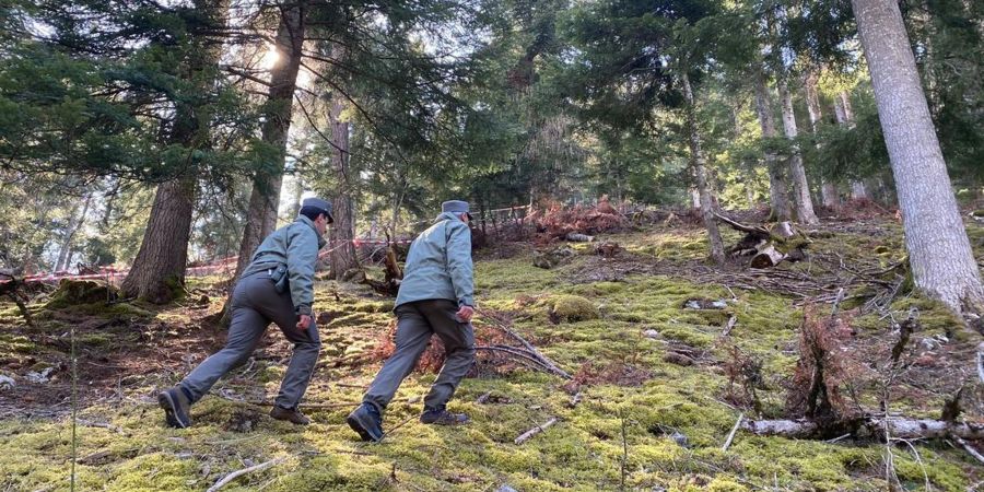 Polizeibeamte durchkämmen einen abgesperrten Bereich.