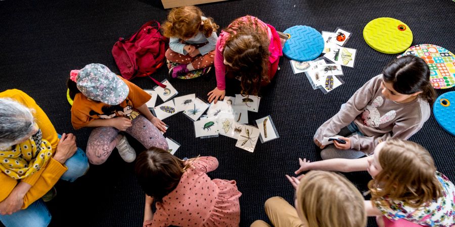 Den Kindern wurde viel über die Schmetterlinge beigebracht.