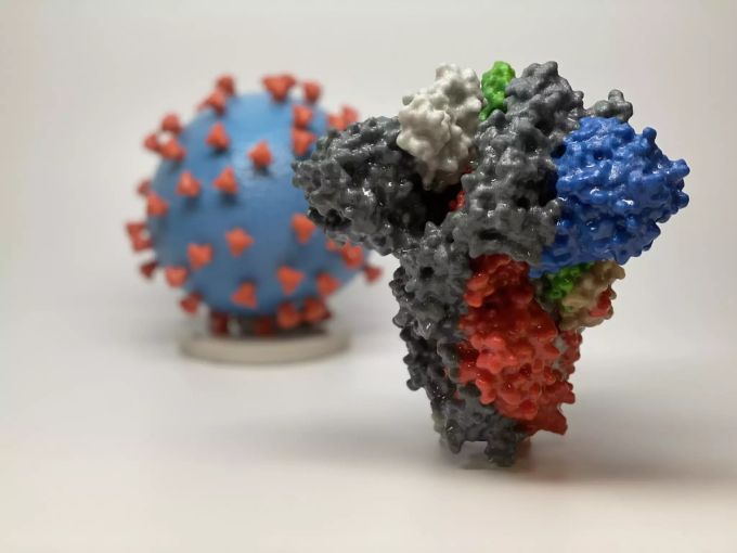 Weiterhin unbekannt bleibt die Herkunft der Furin-Spaltstelle im Spike-Protein des Sars-CoV-2. Im Bild ist ein 3-D-Modell des Spike-Proteins dargestellt. modell spike