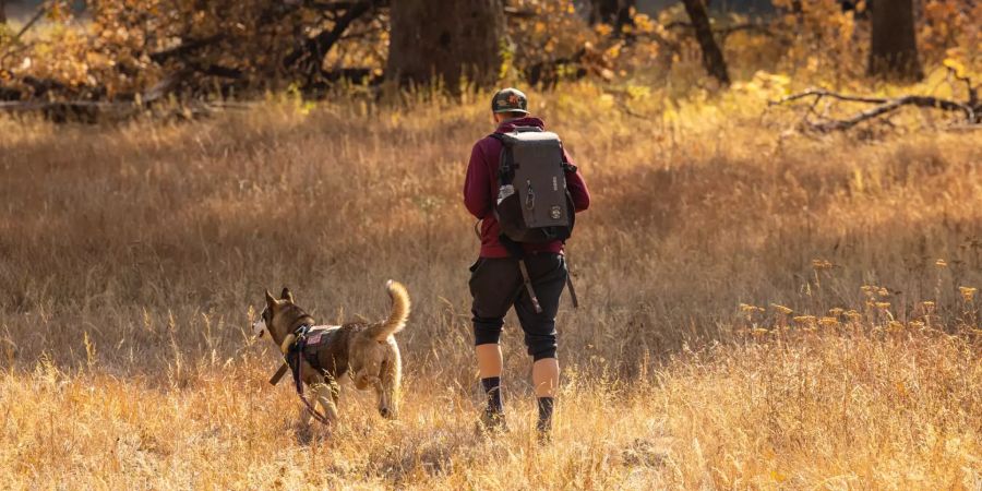 Hundewanderung