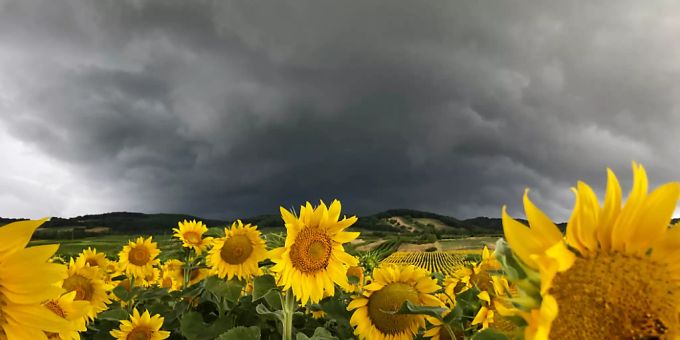Nach zwei sonnigen Tagen wird es ab Mittwochabend teils heftige Gewitter geben. Wetter