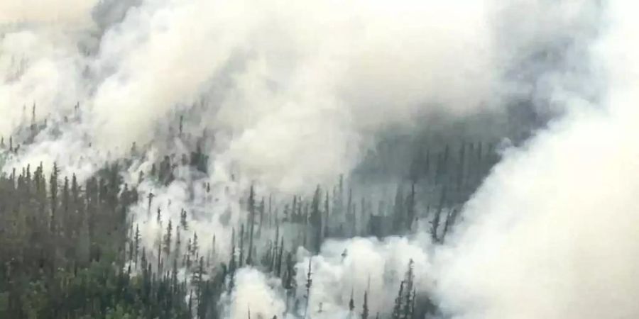 Jedes Jahr stehen in Russlands Wäldern riesige Baumbestände in Flammen. Foto: Uncredited/Russian Emergency Ministry Press Service/AP/dpa/Archivbild