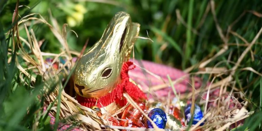 Ein Osternest mit einem Goldhasen von Lindt. Foto: Angelika Warmuth/dpa