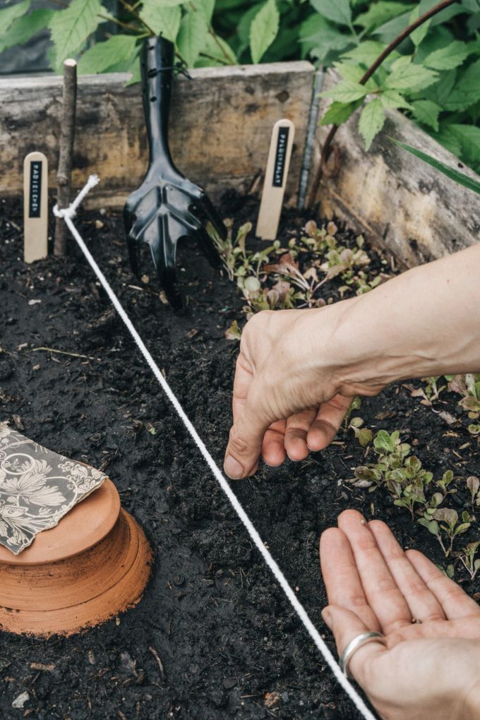 Der Expertentipp fürs Aussäen in der Reihe: Am Anfang und am Ende ein Stöckchen in die Erde stecken, dazwischen eine Schnur spannen. Gartenerde Hand Saat Beet