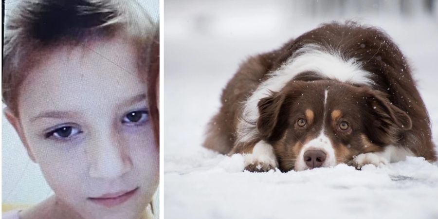 Hund Schneesturm Streuner Vika