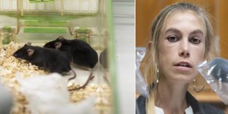 Gastbeitrag - Nein für alle Tiere: Grünen-Schneider zum Versuchsverbot Gastbeitrag - Nein für alle Tiere: Grünen-Schneider zum Versuchsverbot