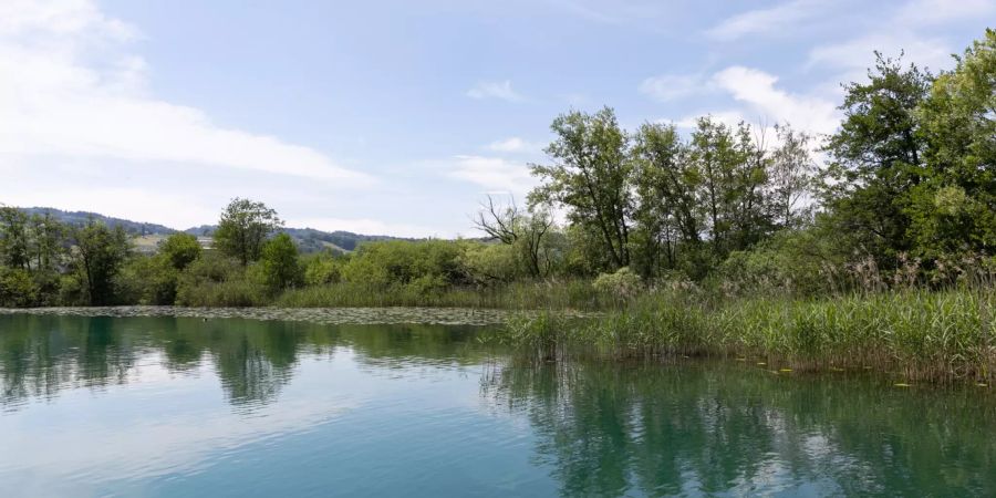 Der Hallwilersee im Kanton Aargau.